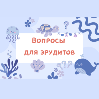 картинка вопросы для эрудитов