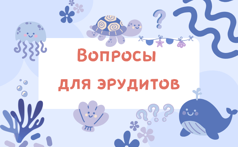 вопросы для эрудитов